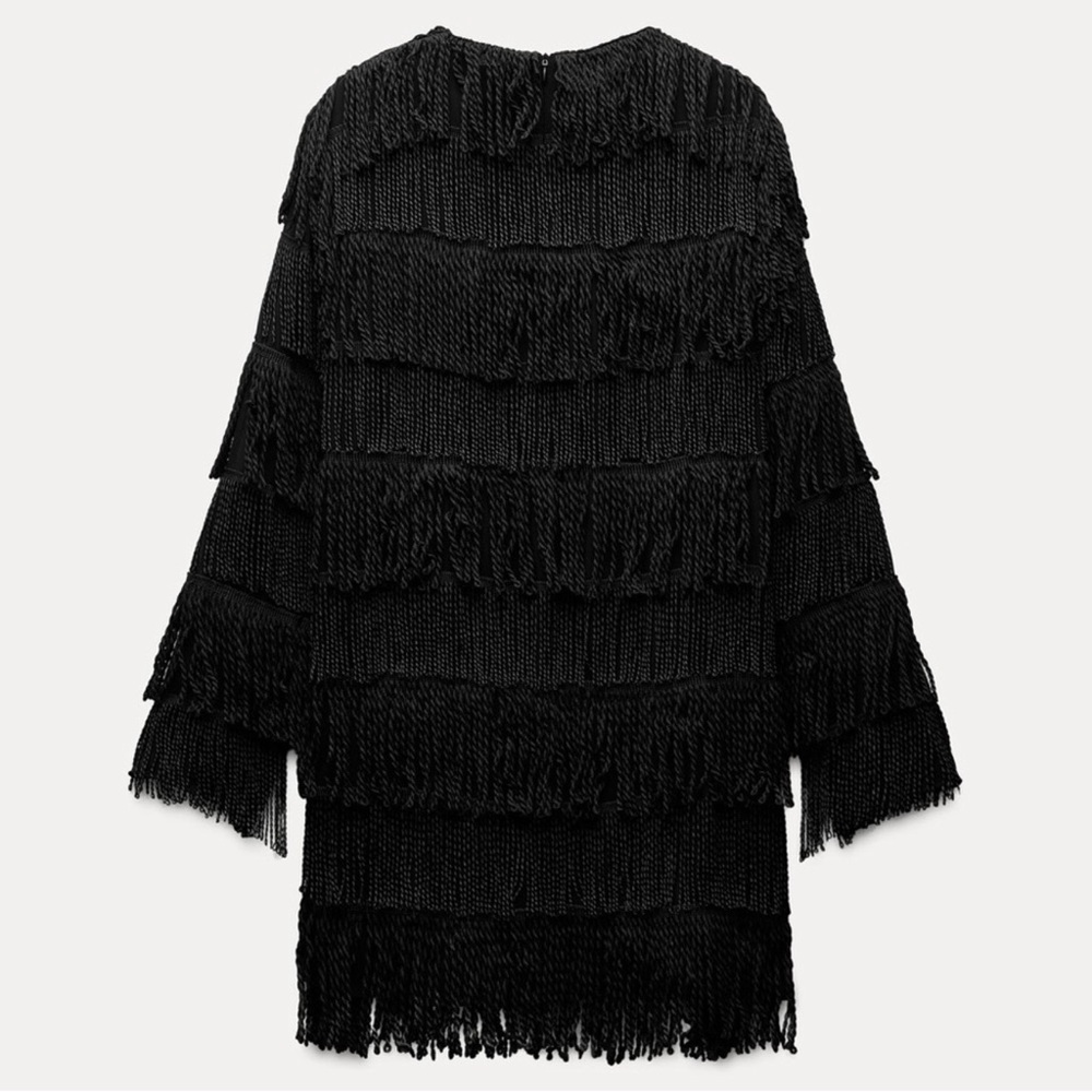 Zara fringe mini dress - Picture 9 of 9